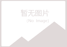 平果县夜山化学有限公司